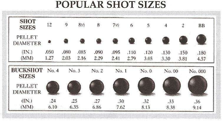 12 Gauge Size. Shot Sizes. Shot Size перевод. Buckshot height. Buckshot roulette фф